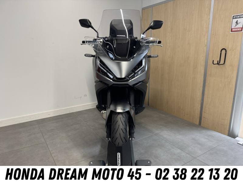 HONDA NT